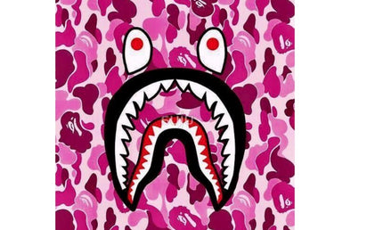 Bape Camo Pink Rug