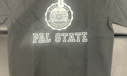 Palace pal state shirt