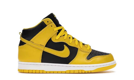 Nike Dunk High Iowa (2020)