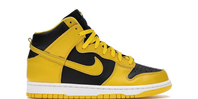 Nike Dunk High Iowa (2020)