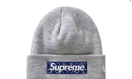 Box Logo Beanie