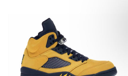 Jordan 5 Michigan