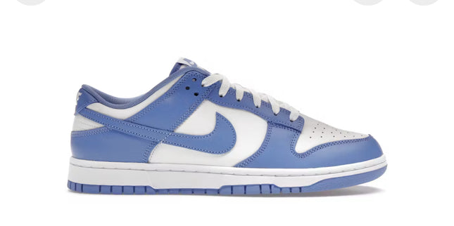 Nike Dunk Low Polar Blue